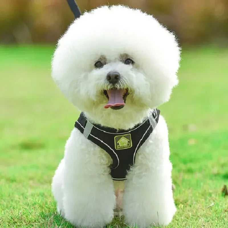 Reflective Pet Harness