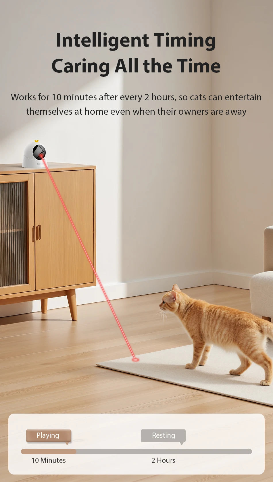 ROJECO Automatic Pet Toy
