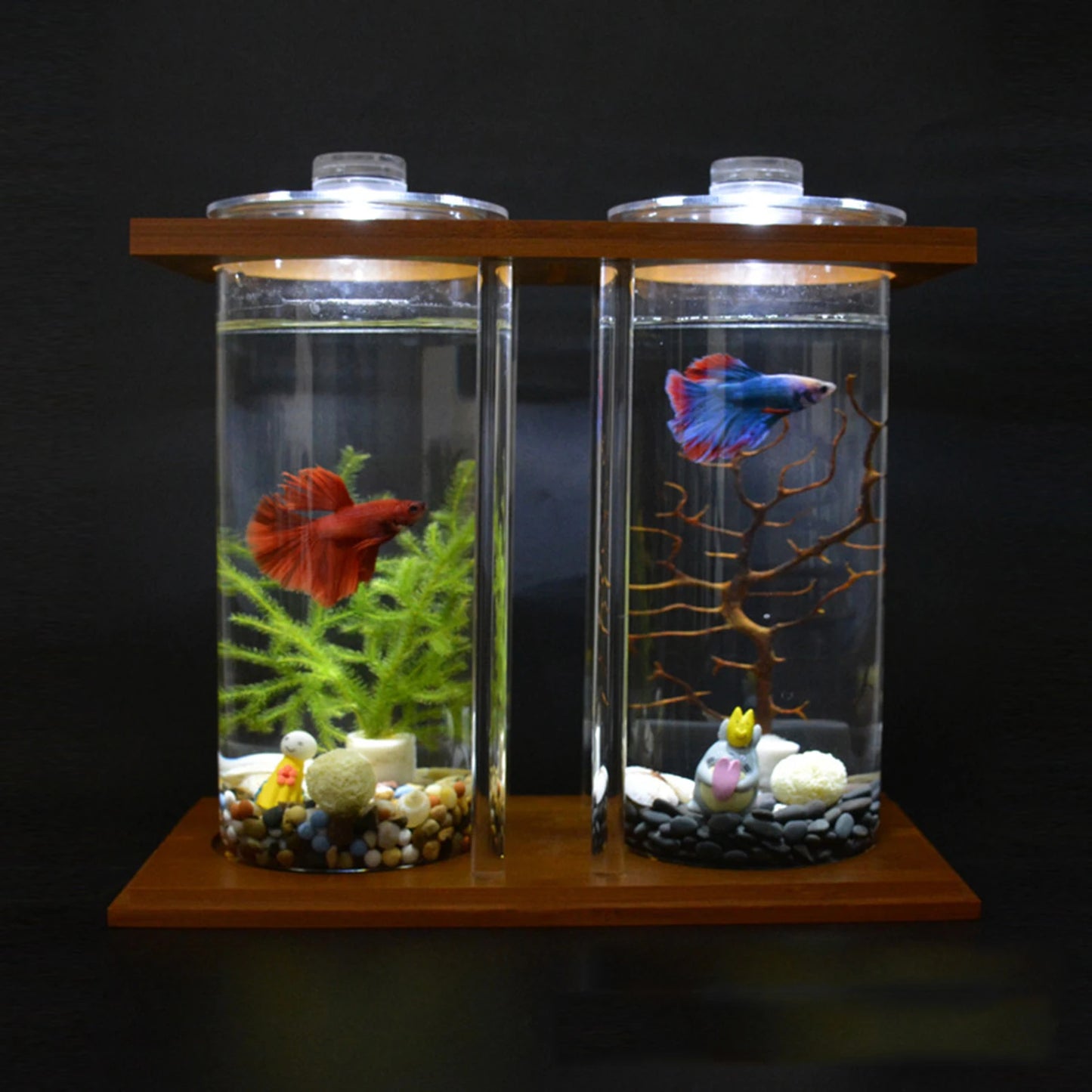 Mini Fish DIY Tank Creative Bamboo