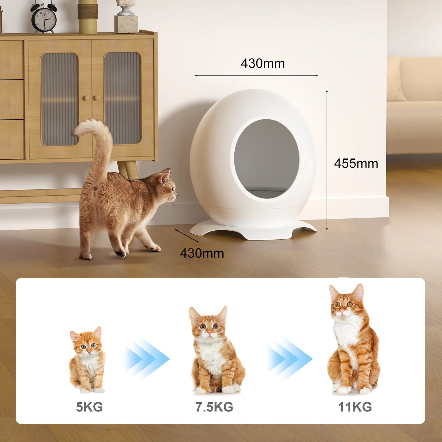 Modern Round Pet Bed for Cats