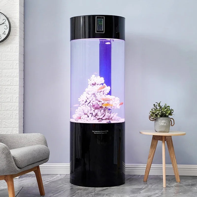 Aquarium Medium-sized Fish Tank