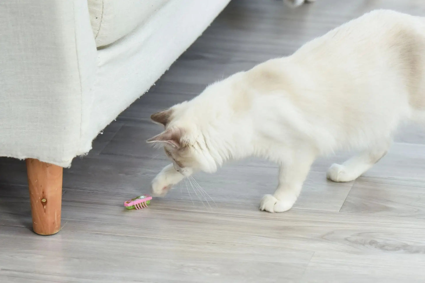 Automatic Vibration Cat Toy