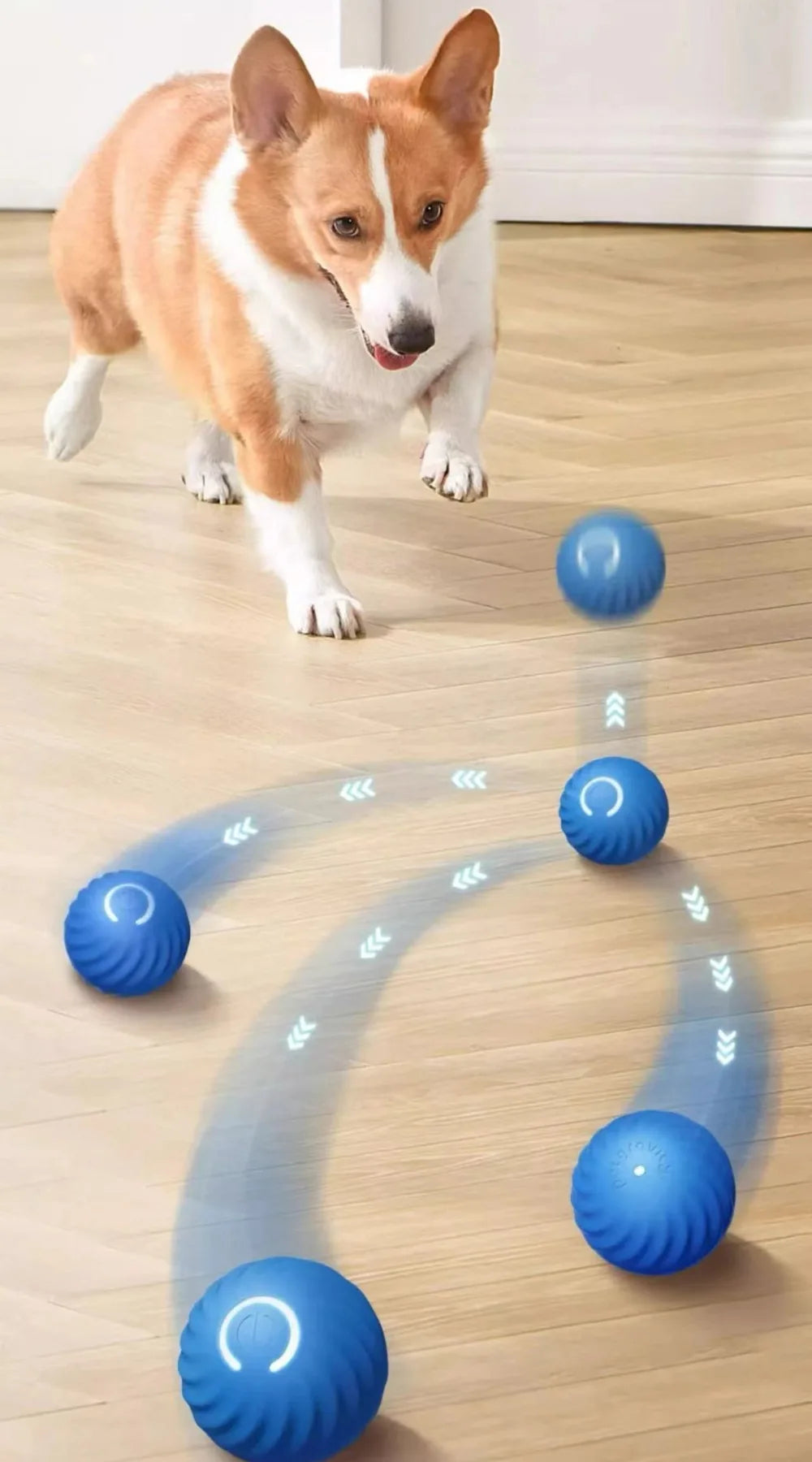 Pet Toy Ball Automatic Moving Dog Toy