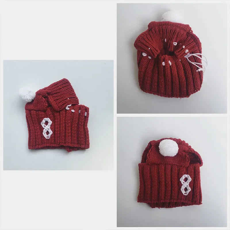 Winter Dog Cap Christmas