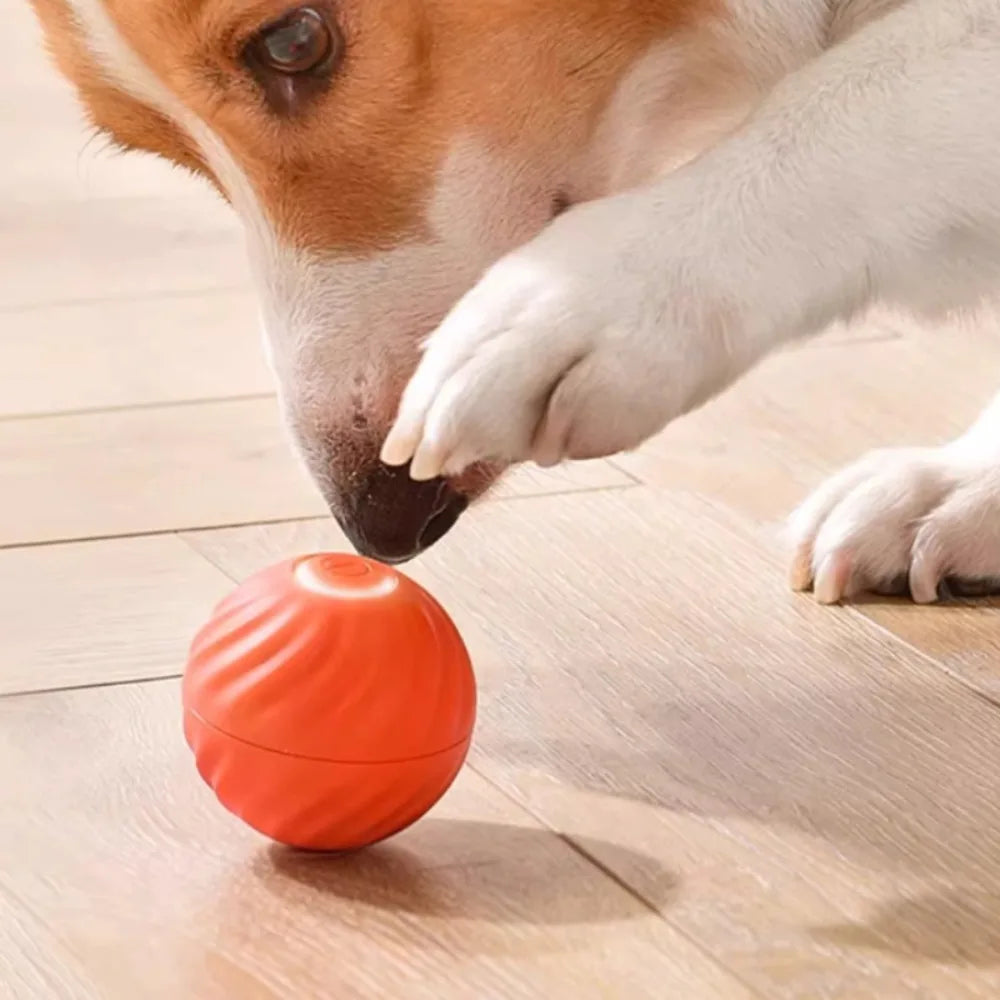 Pet Toy Ball Automatic Moving Dog Toy