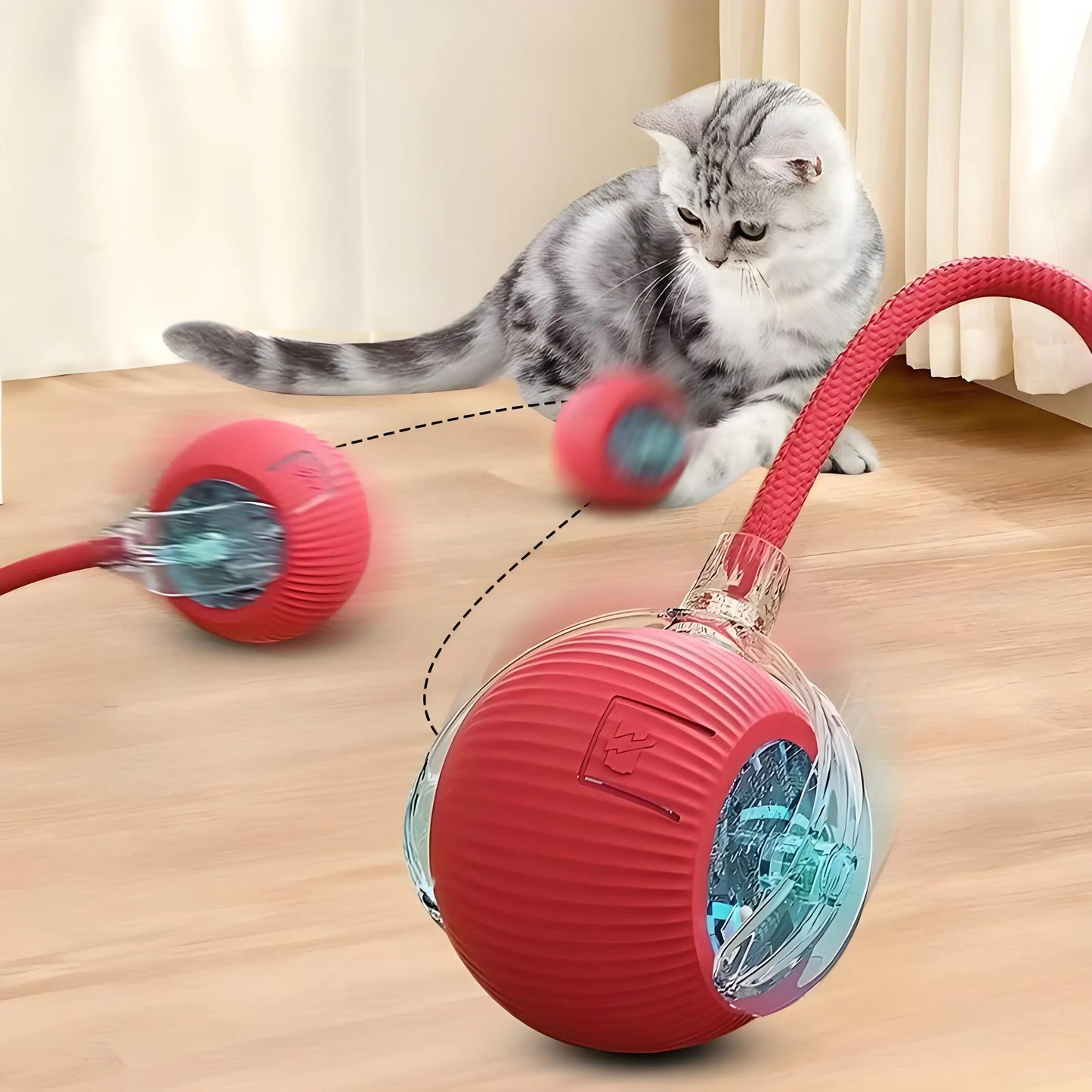 Interactive Cat Toy