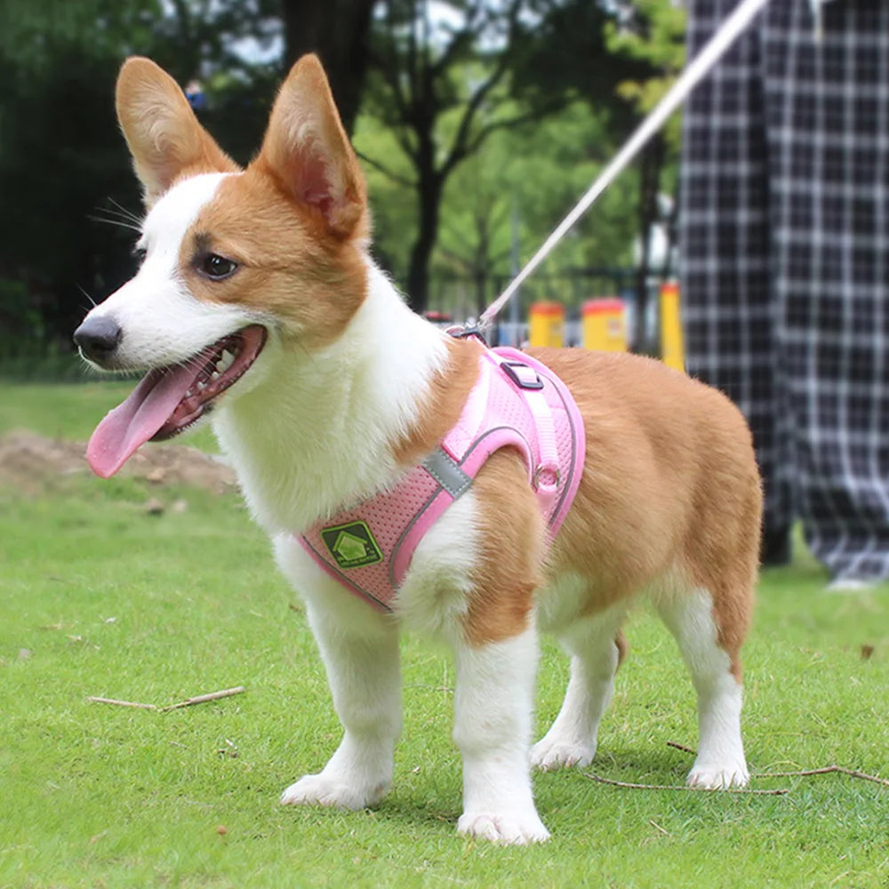 Reflective Pet Harness