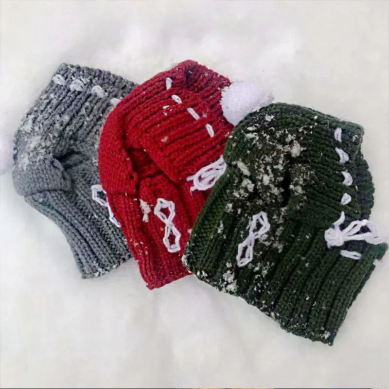 Winter Dog Cap Christmas