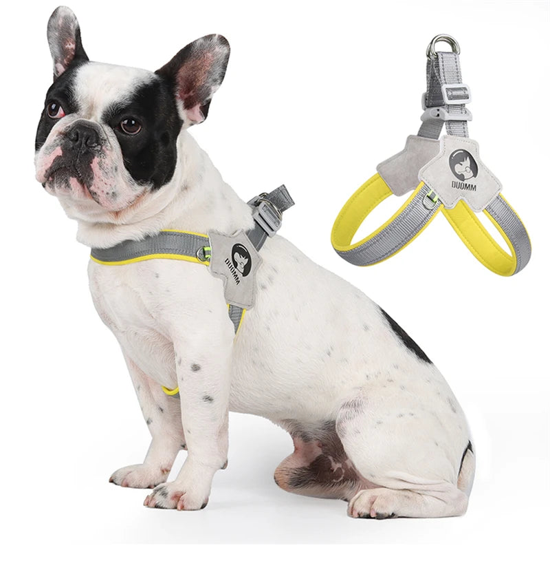 Reflective Pet Dog