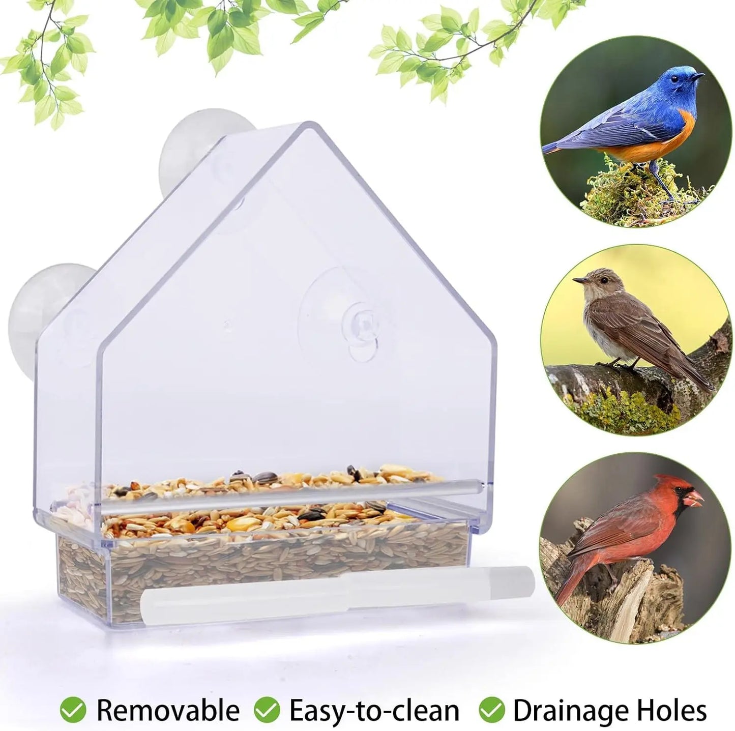 Bird Feeder Birds House