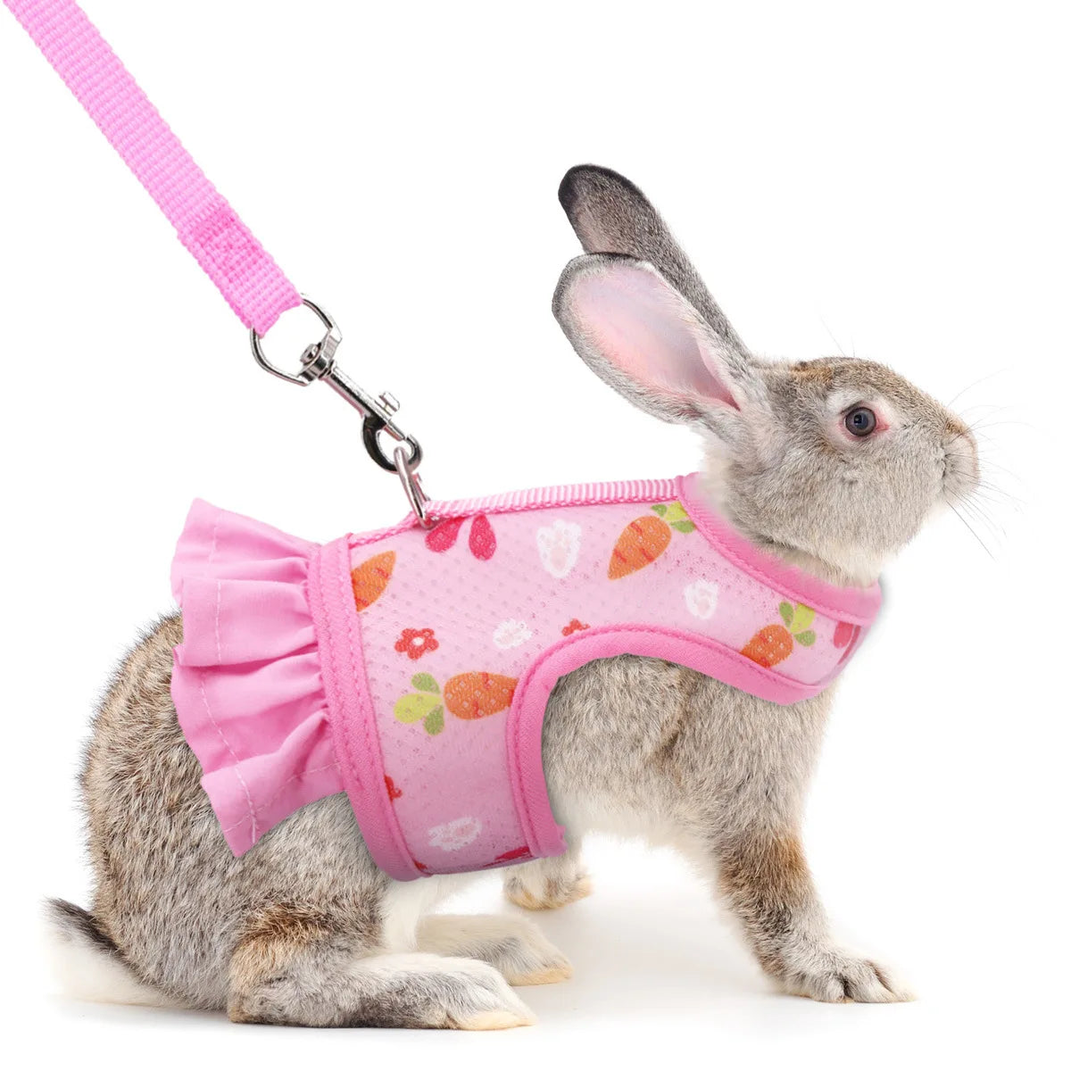 Rabbit Harness with Leash Cute