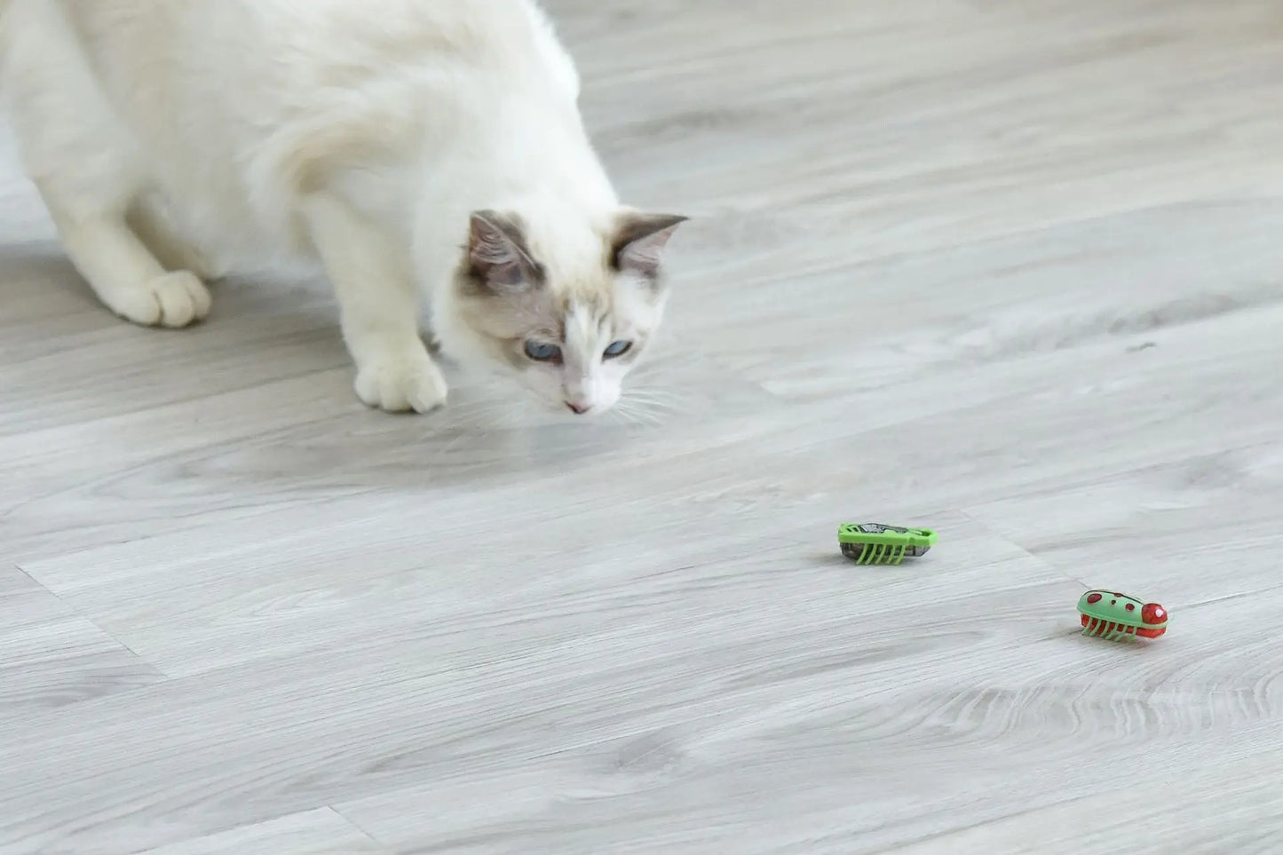 Automatic Vibration Cat Toy
