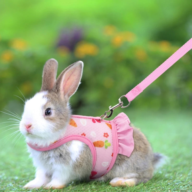 Rabbit Harness with Leash Cute