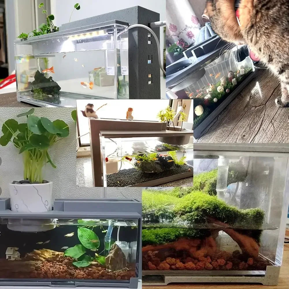 Small Aquarium Fish Tank Built-in Oxygen Bar