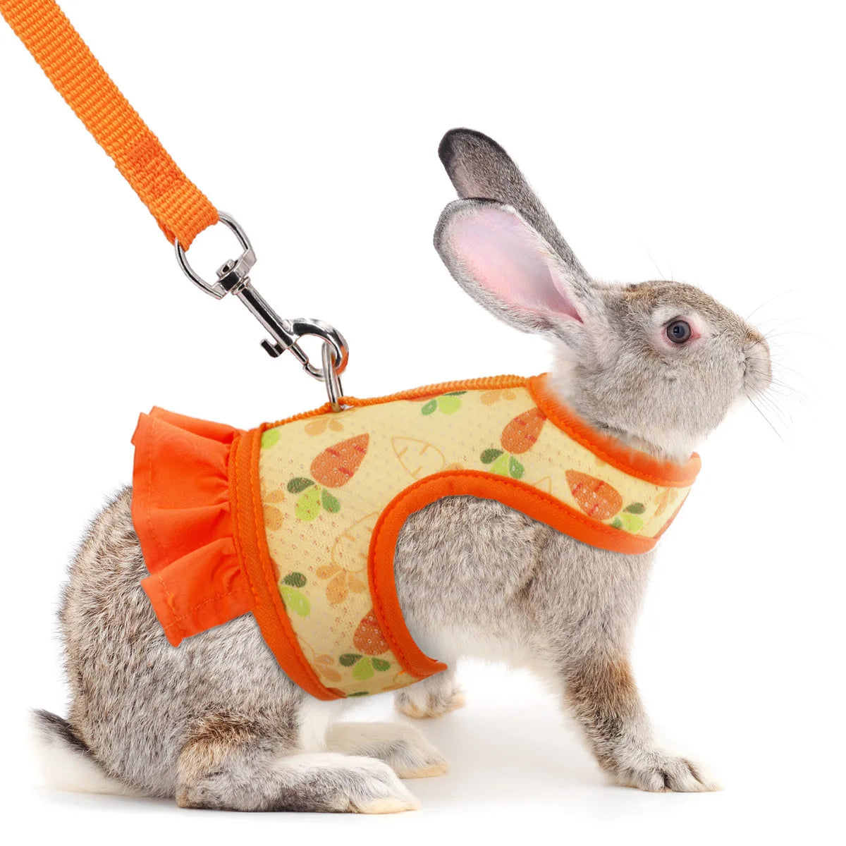 Rabbit Harness with Leash Cute