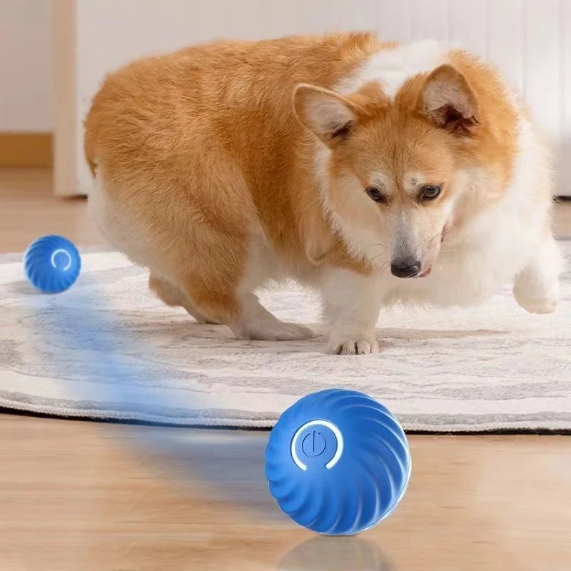Smart Dog Toy Ball Automatic Electronic