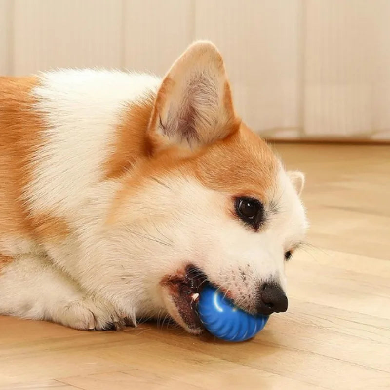 Pet Toy Ball Automatic Moving Dog Toy