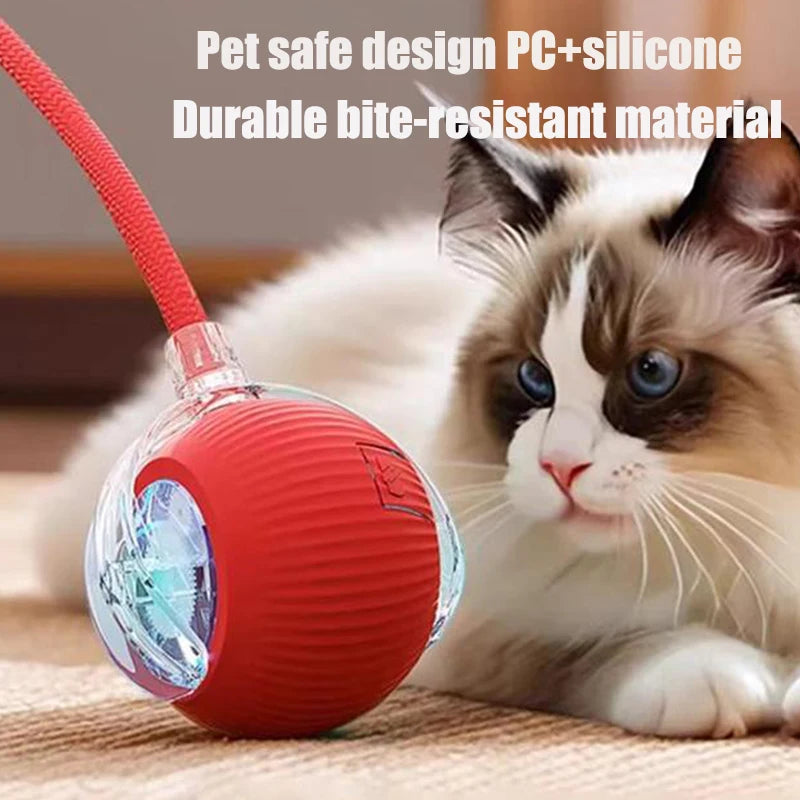 Interactive Cat Toy