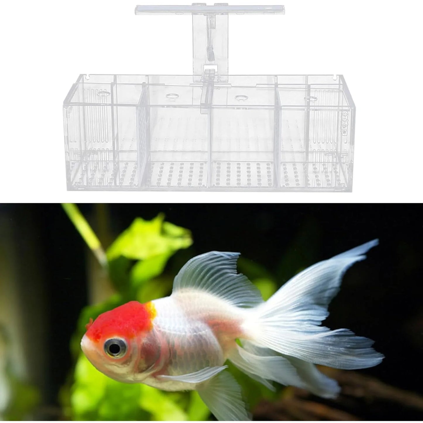 4 Grid Fish Tank, LED Small Fish