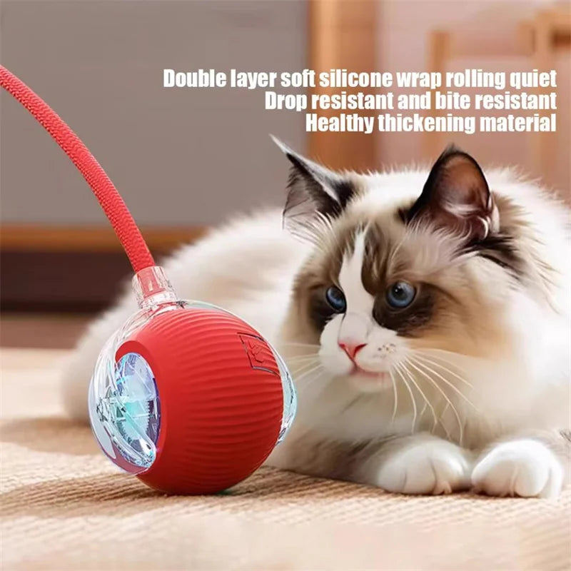Interactive Cat Toy
