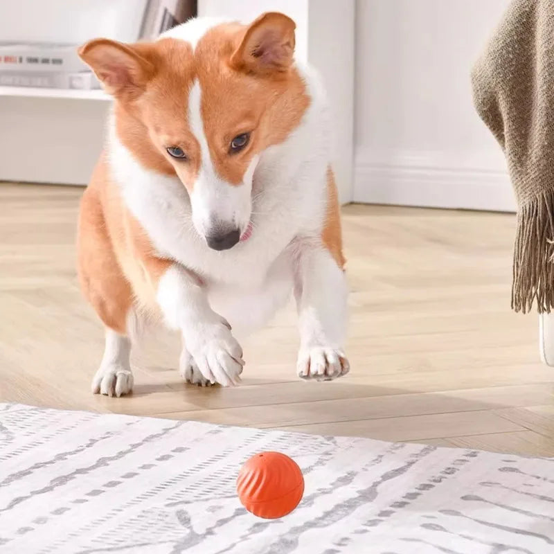 Pet Toy Ball Automatic Moving Dog Toy
