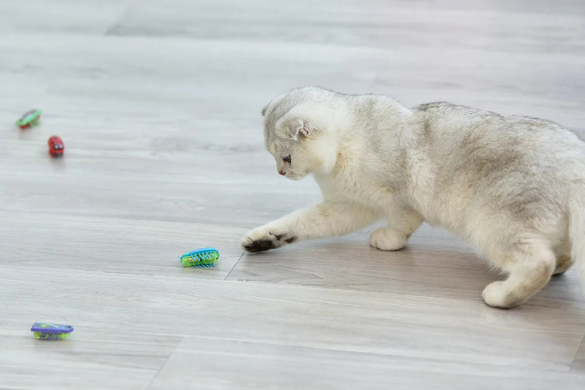 Automatic Vibration Cat Toy