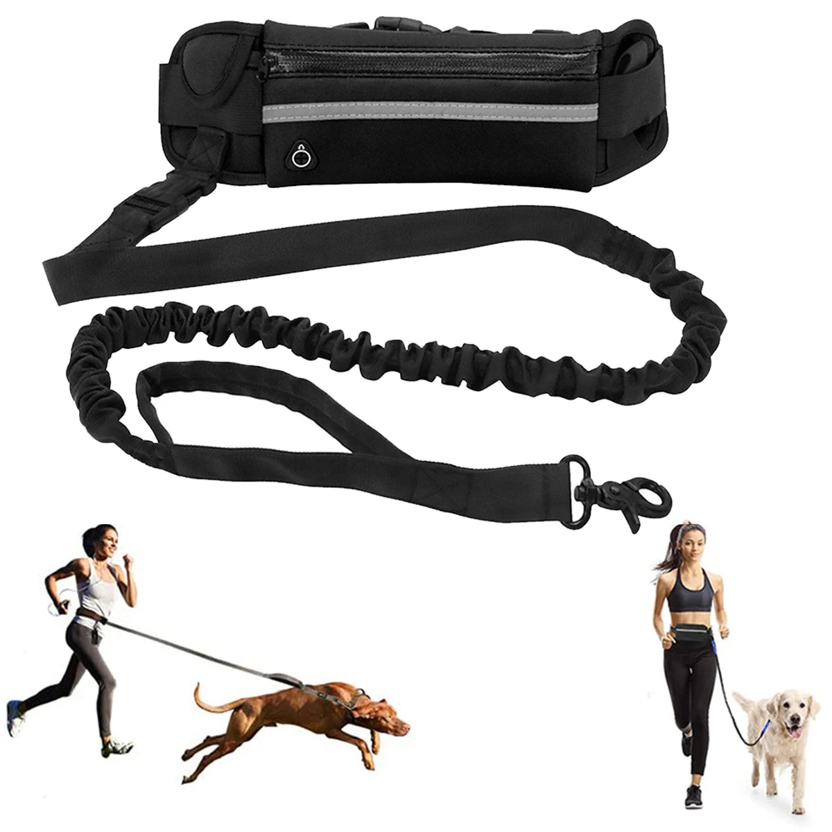 Hands Free Dog Leash
