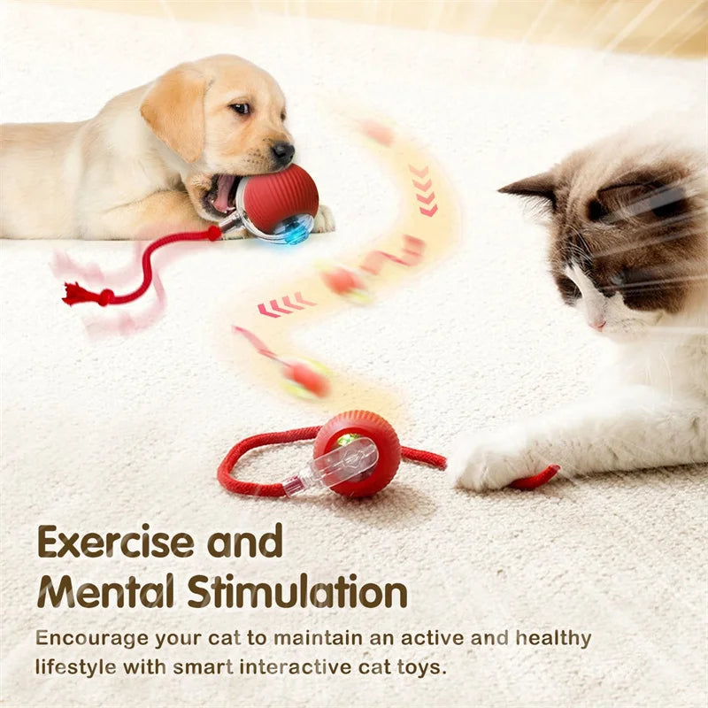 Interactive Cat Toy