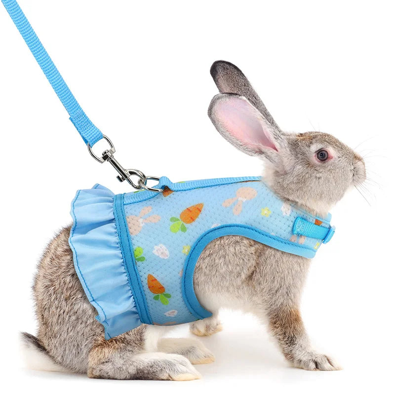 Rabbit Harness with Leash Cute