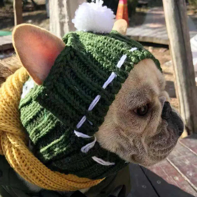 Winter Dog Cap Christmas