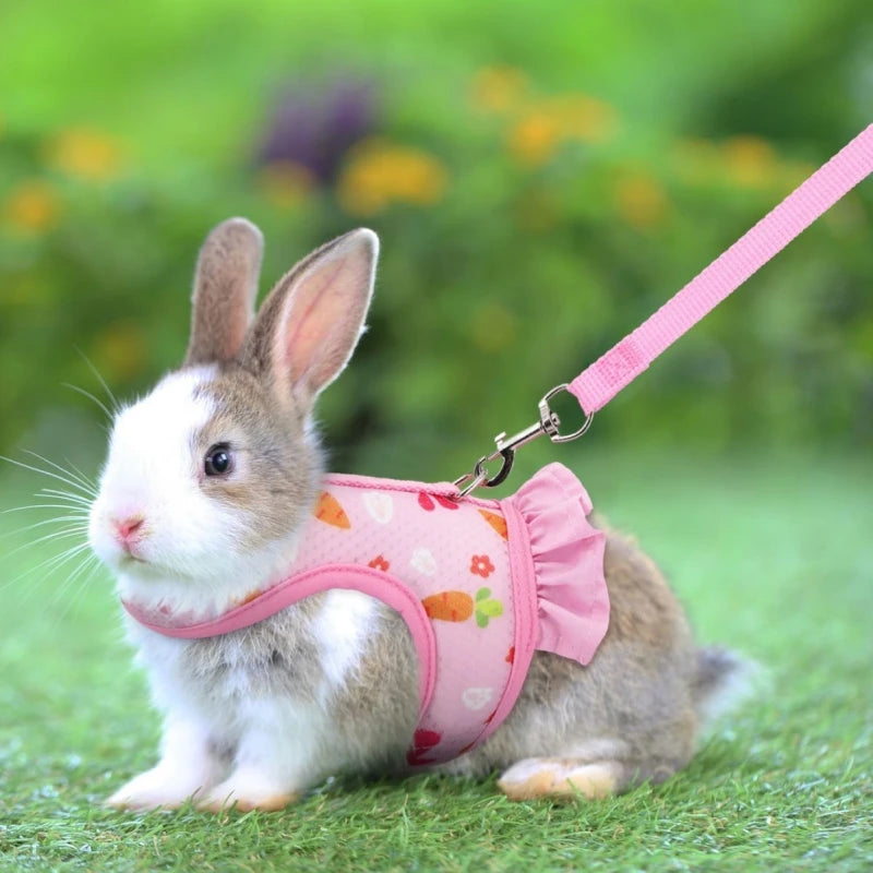 Rabbit Harness with Leash Cute