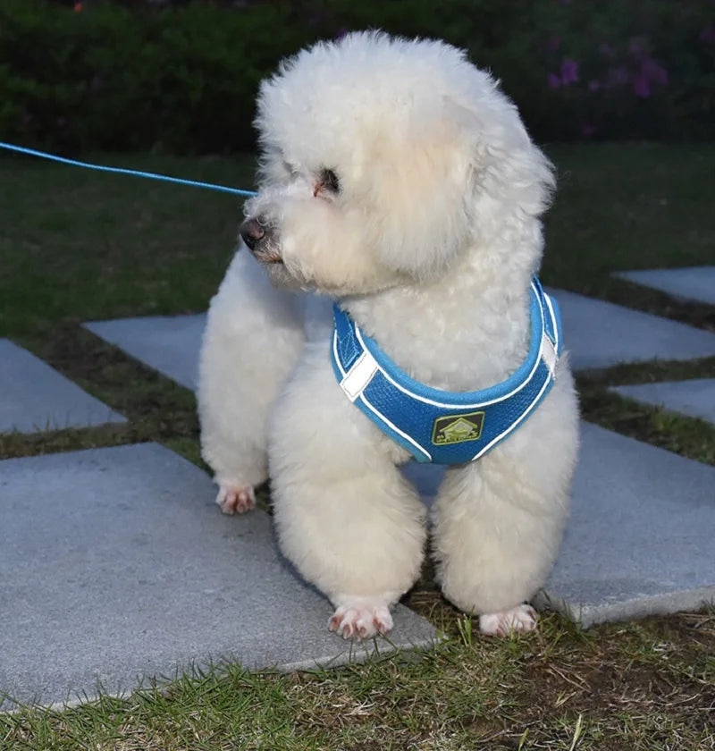 Reflective Pet Harness