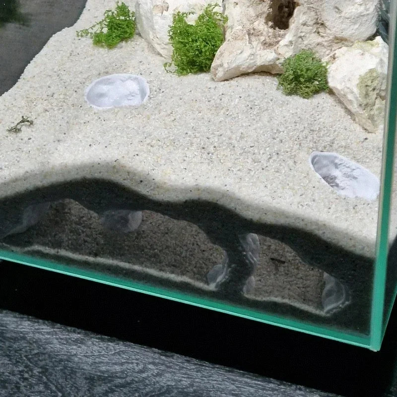 Fish Tank Underwater Palace Hiding Cave