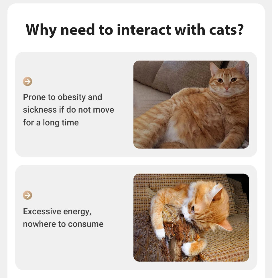 ROJECO Automatic Pet Toy