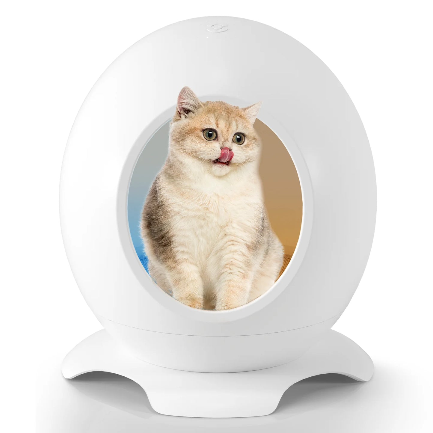 Modern Round Pet Bed for Cats