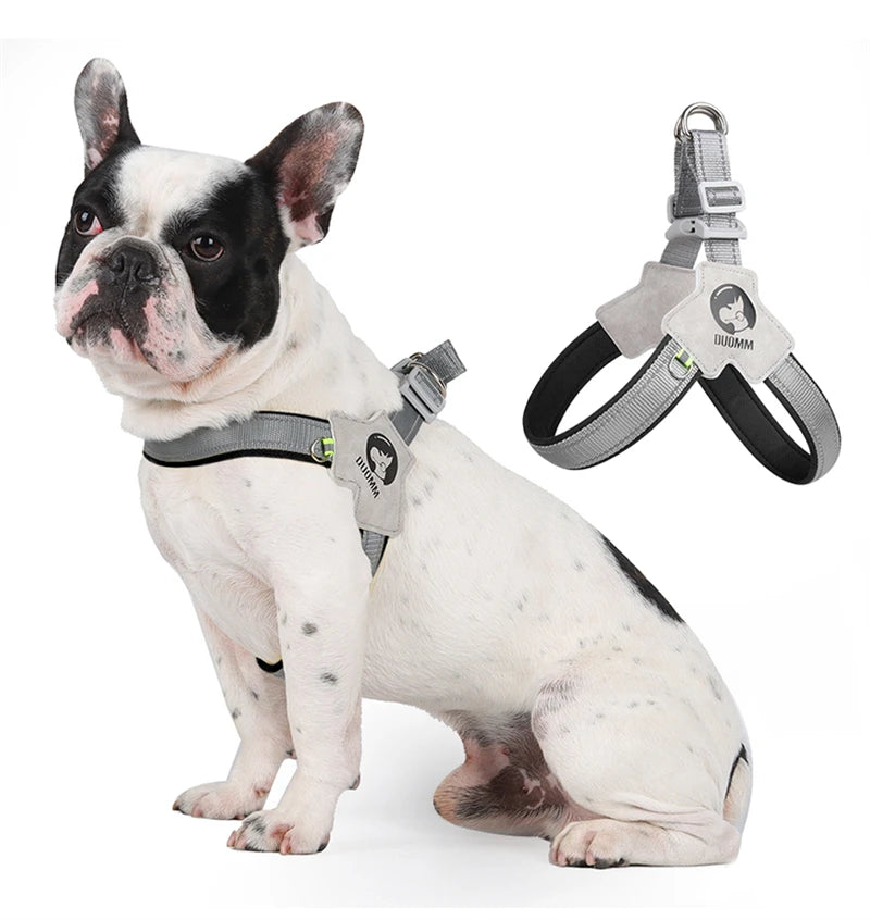 Reflective Pet Dog