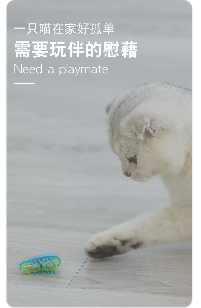 Automatic Vibration Cat Toy