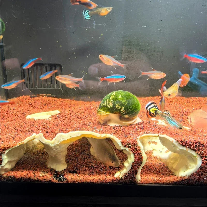 Fish Tank Underwater Palace Hiding Cave