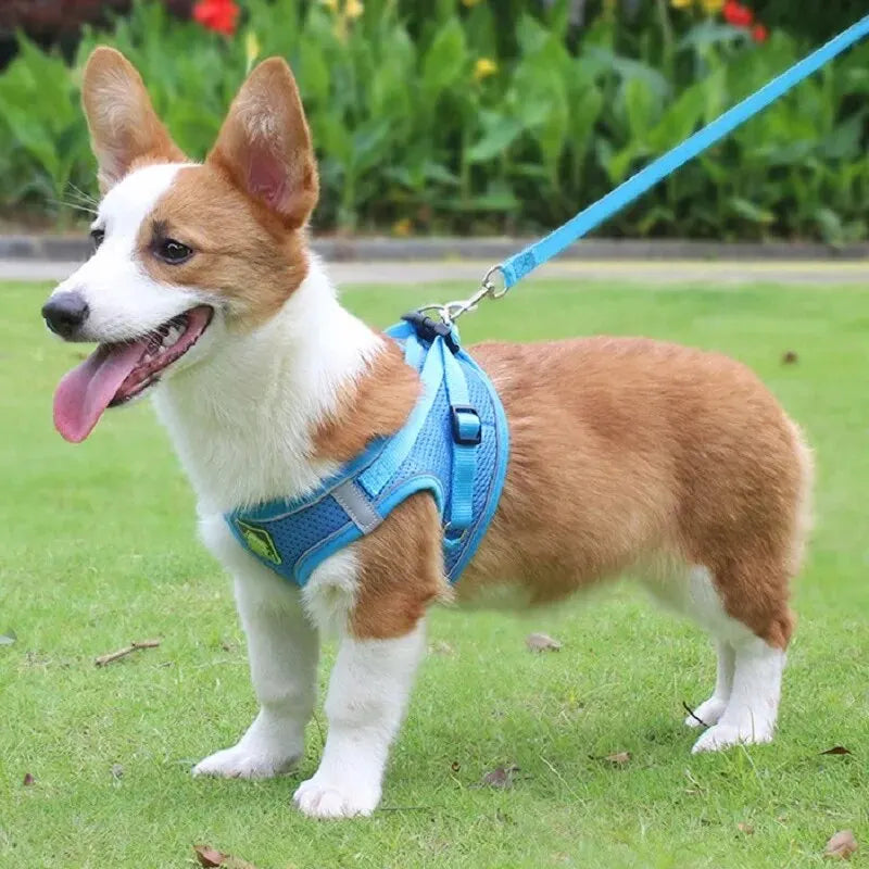 Reflective Pet Harness