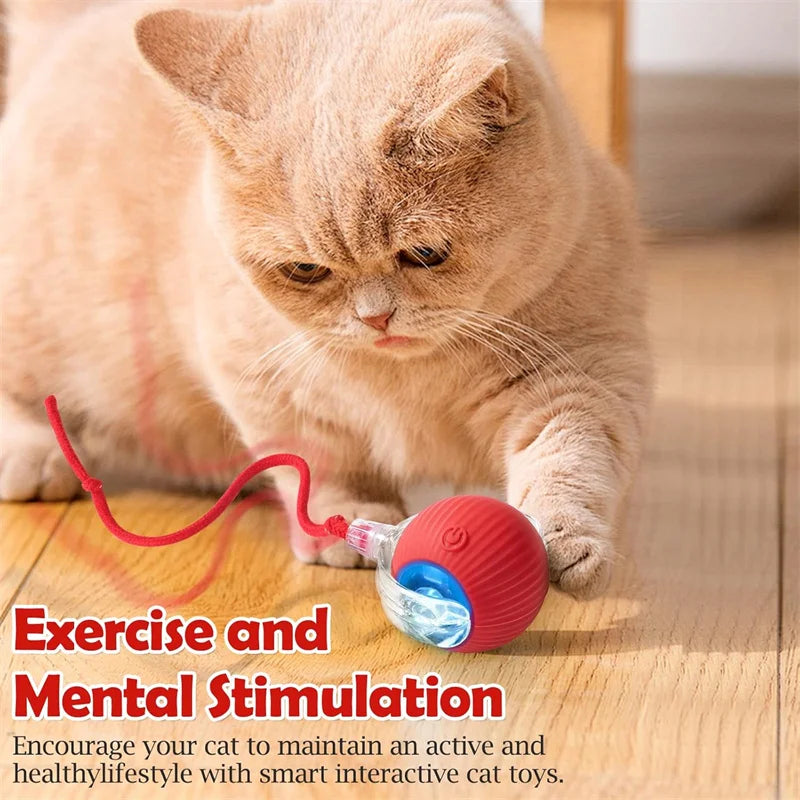 Interactive Cat Toy