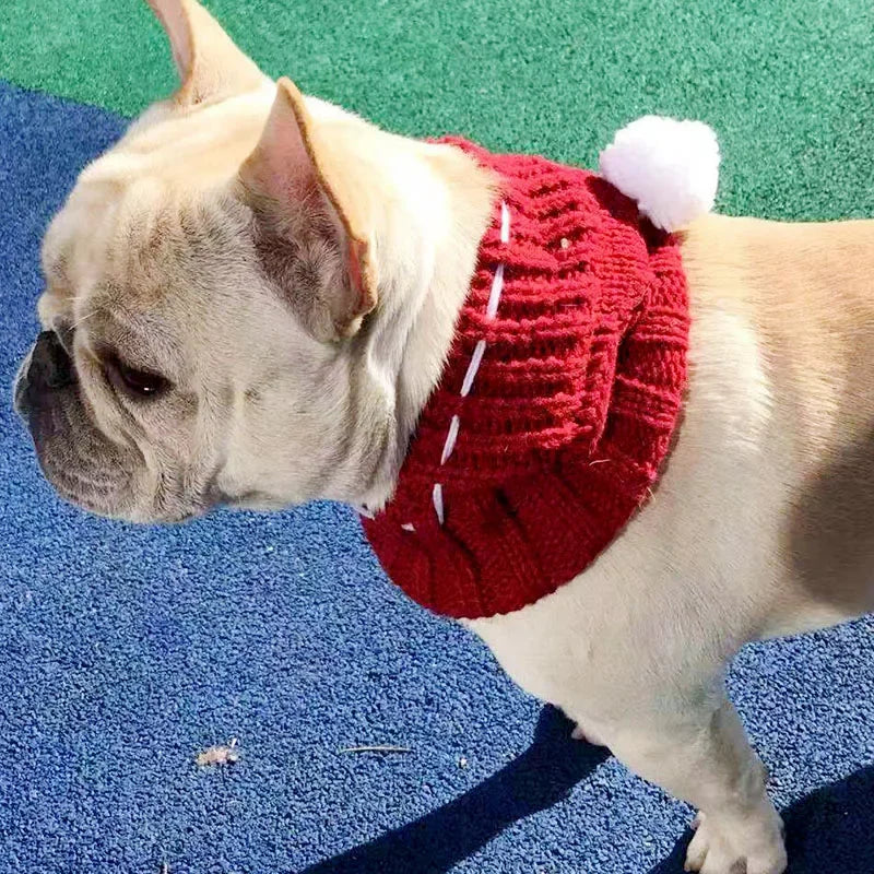 Winter Dog Cap Christmas