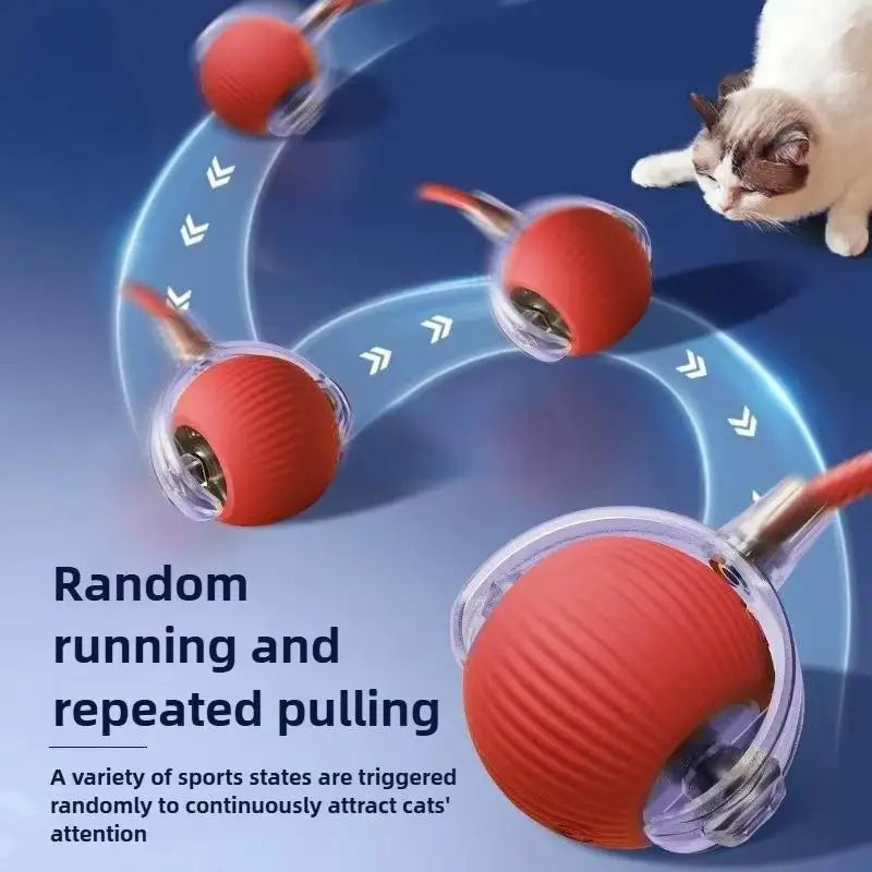Interactive Cat Toy