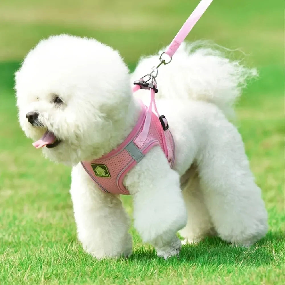 Reflective Pet Harness