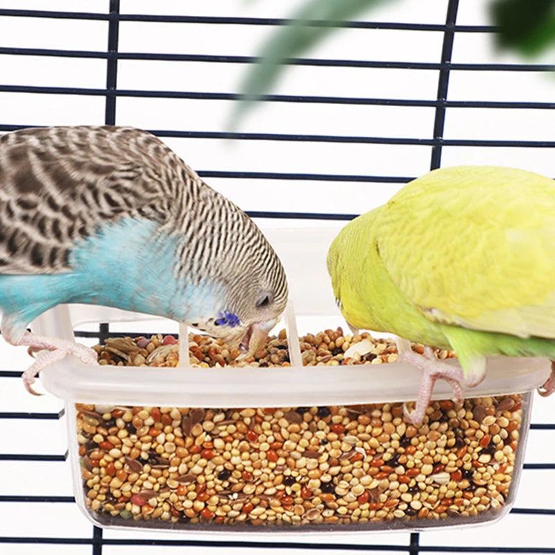 Parrot Feeder Drinker Bird Supplies Bird