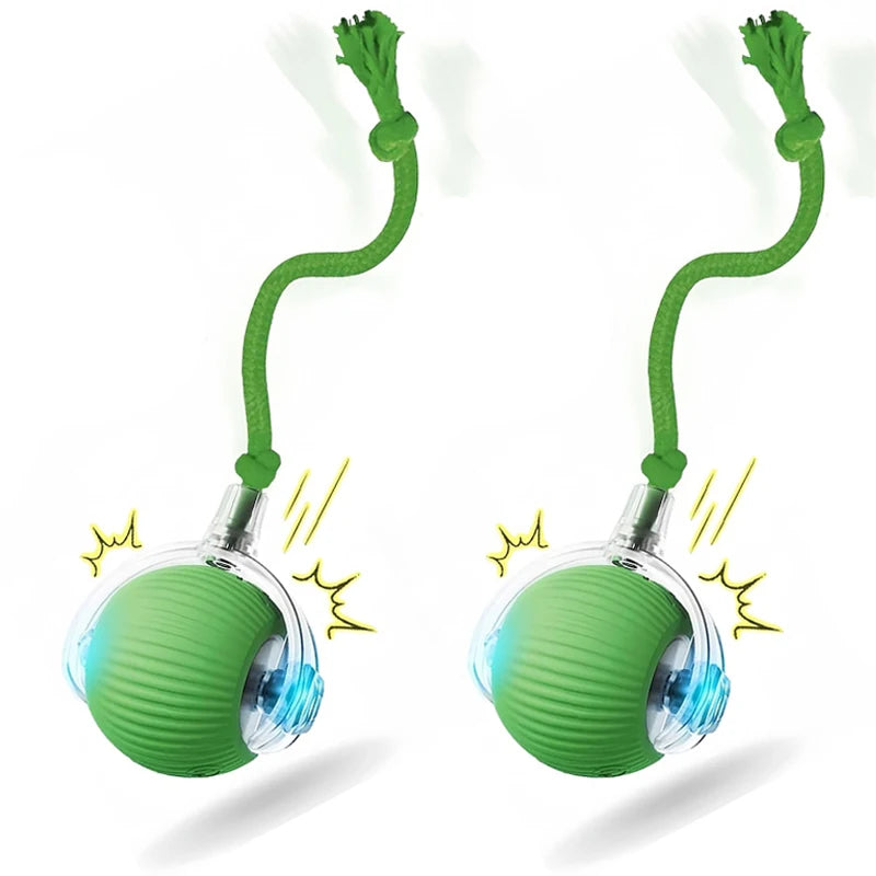 Interactive Cat Toy