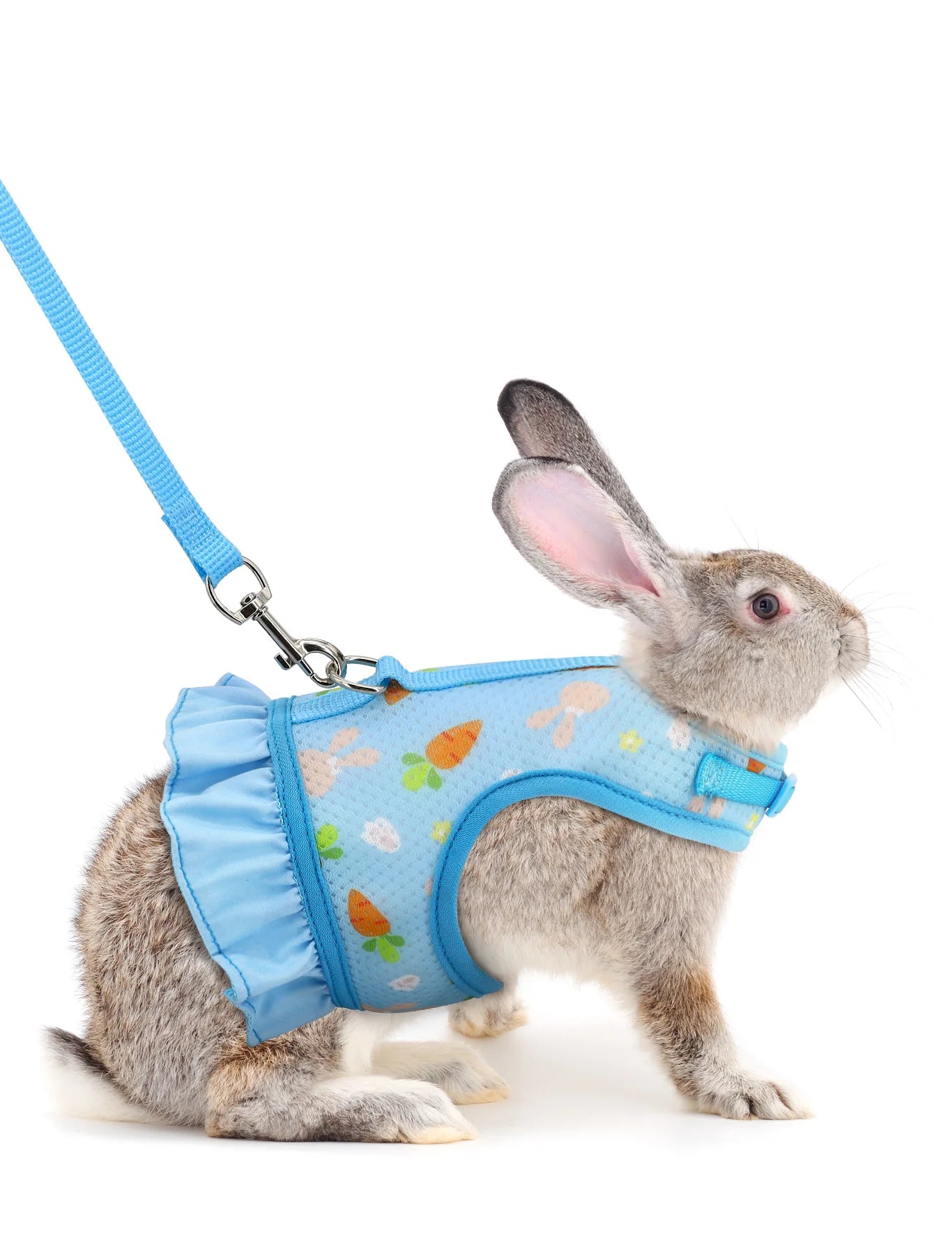 Rabbit Harness with Leash Cute