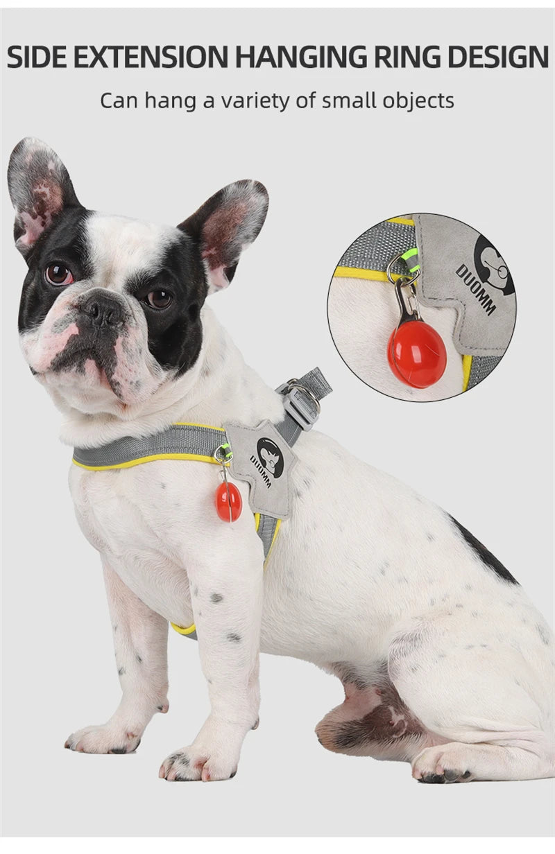 Reflective Pet Dog