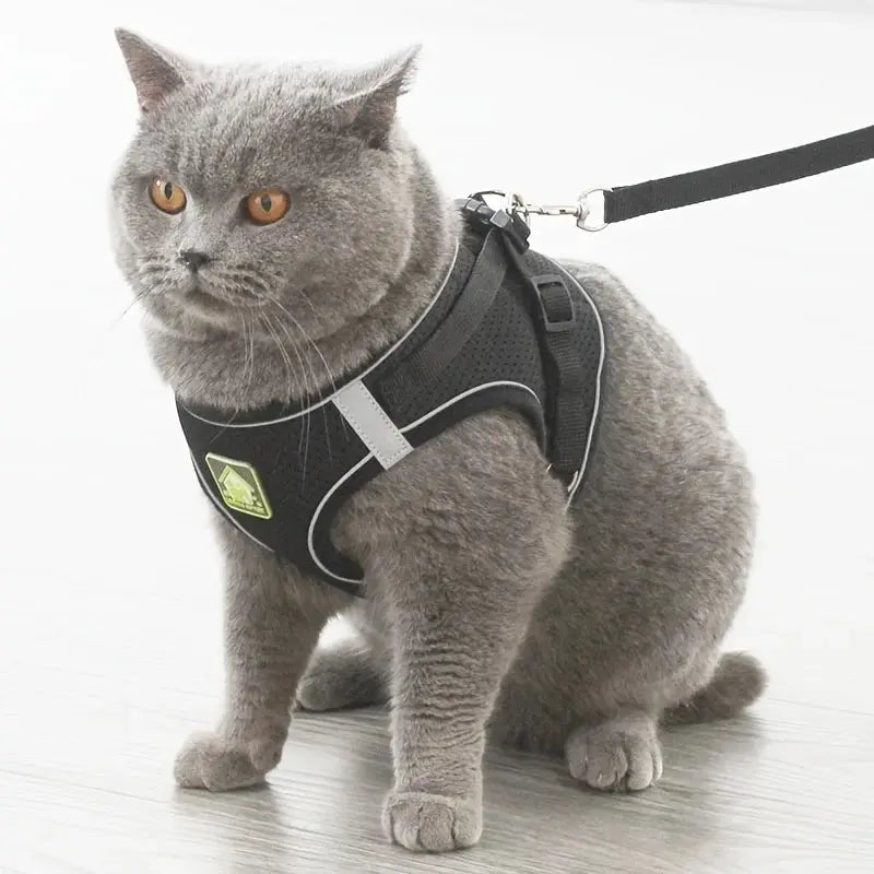 Reflective Pet Harness