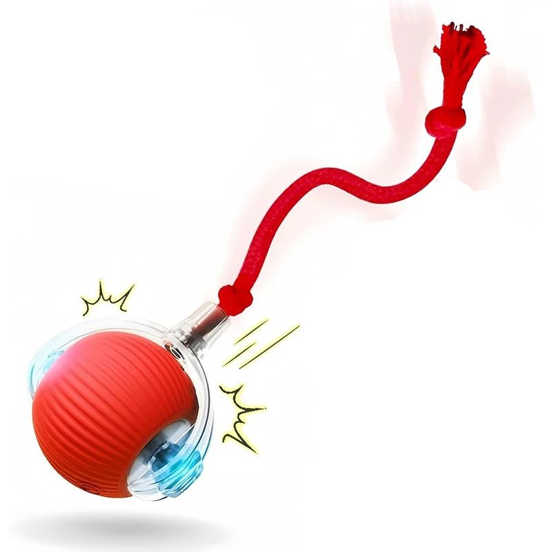 Interactive Cat Toy