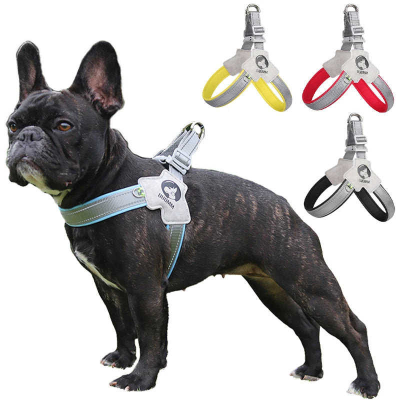 Reflective Pet Dog